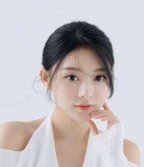 Face model
