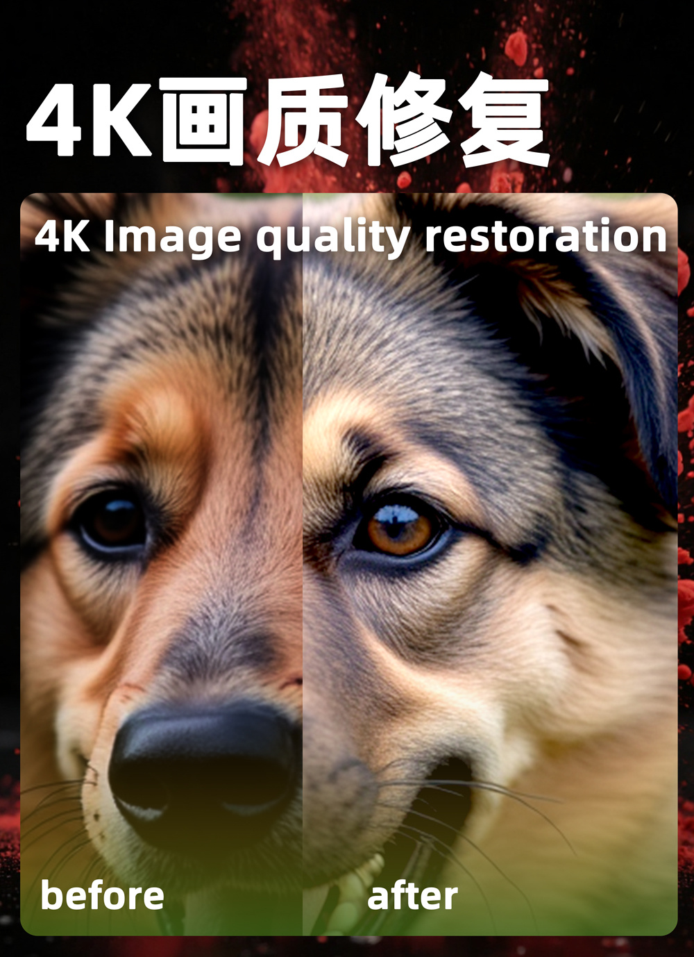 b-Image Quality Enhancement & 4K Upscaling