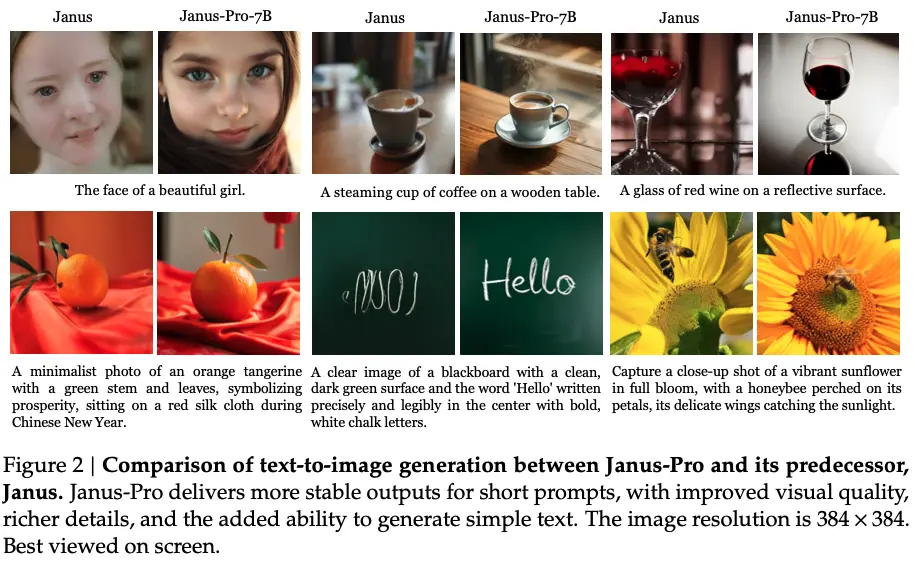 DeepSeek Janus Pro raw images and reverse推