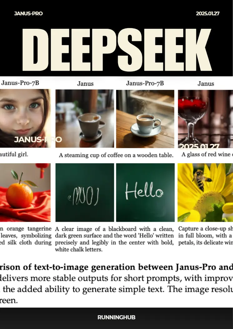 DeepSeek Janus Pro raw images and reverse推