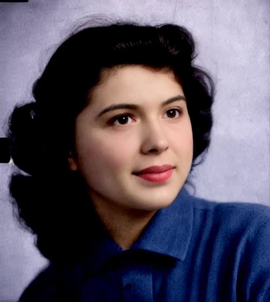 Old photo restoration scratch removal coloring revival version V3