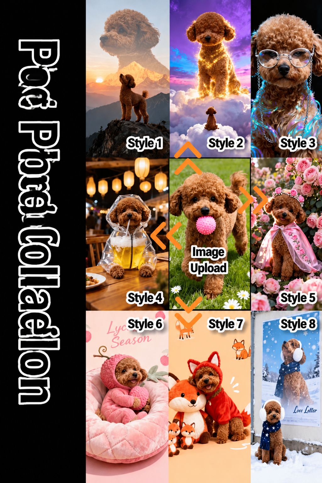 Pet photo collection