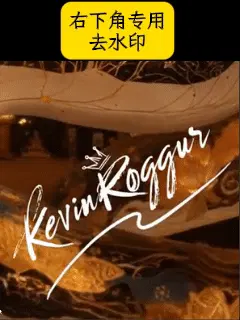 Remove watermark Bottom right corner watermark专用