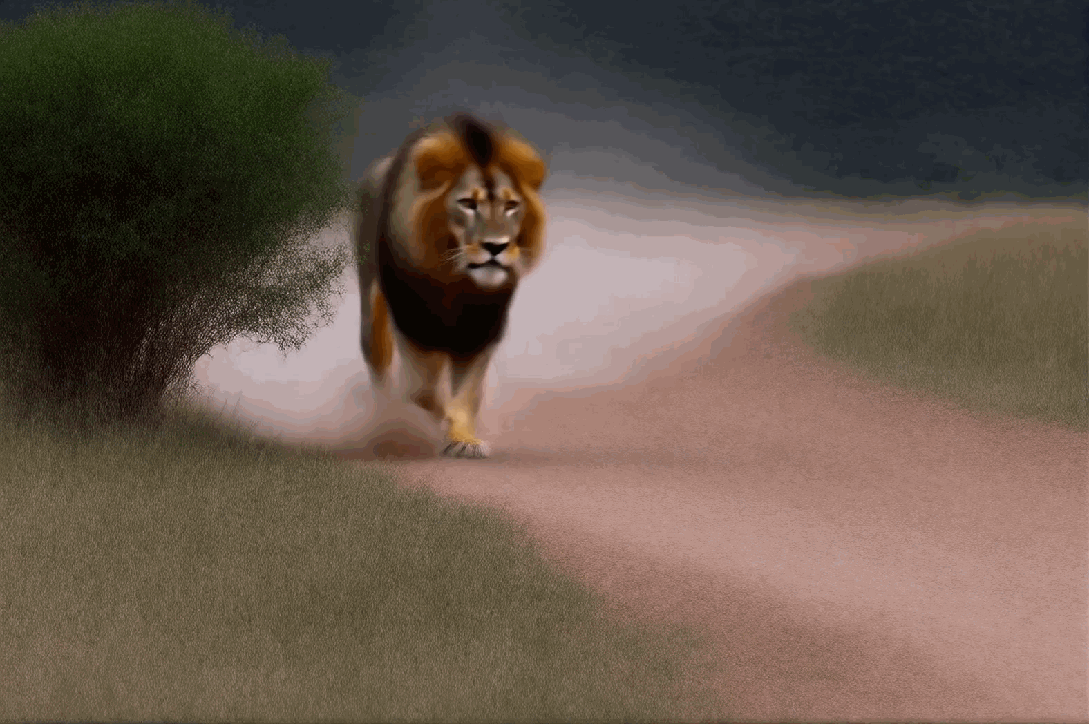 WanVideo video-to-video drawing